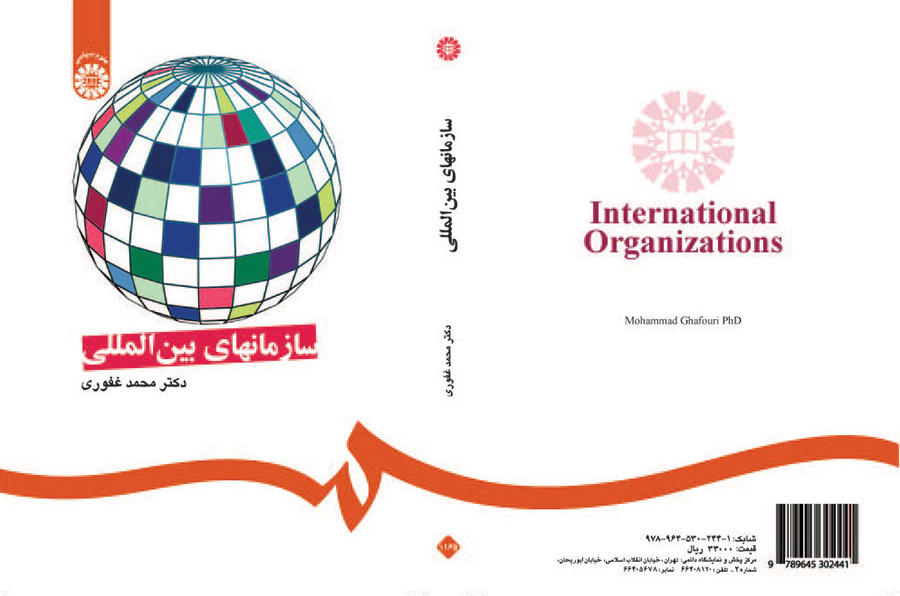 المنظمات الدولية