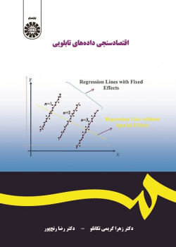 Panel Data Econometrics