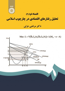 Microeconomics (3): The Analysis of Economic Behaviors in Islamic Framework