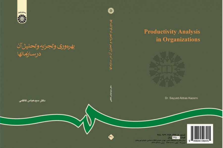 Productivity Analysis in Organizations