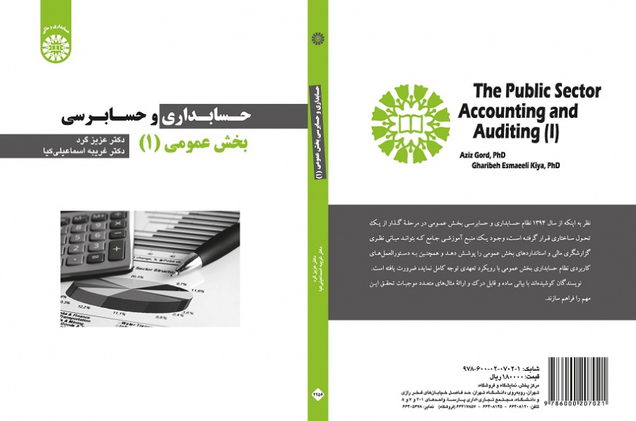 The Public Sector Accounting and Auditing (I)