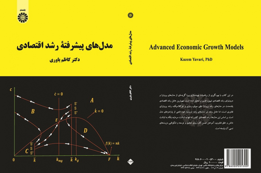Advanced Economic Growth Models