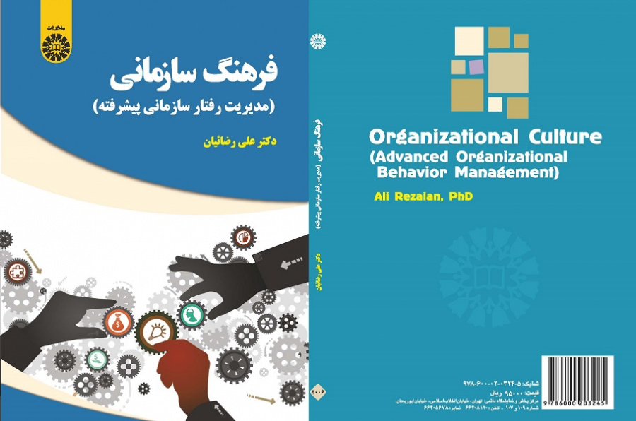 Organizational Culture (Advanced Organizational Behavior Management)