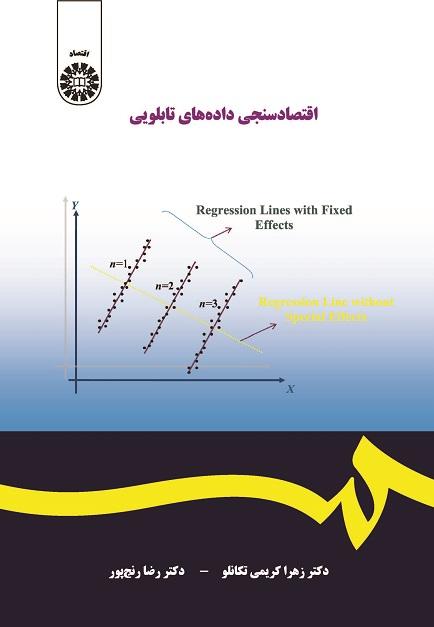 Panel Data Econometrics