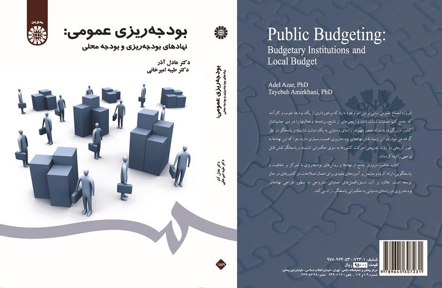 Public Budgeting: Budgetary Institutions and Local Budget