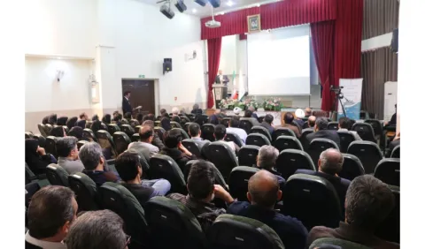 از پژوهشگران و مؤلفان آثار برگزیده «سمت» تقدیر شد