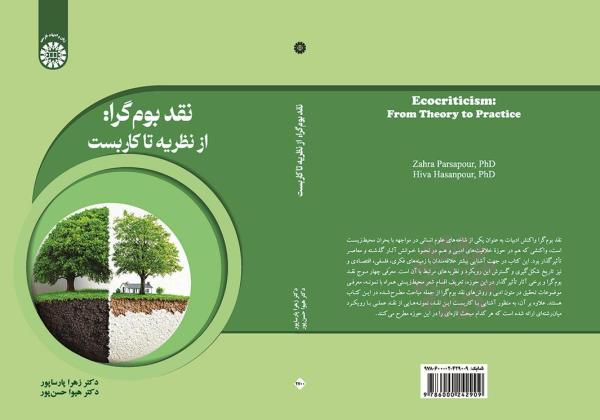 نقد بوم‌گرا: از نظریه تا کاربست